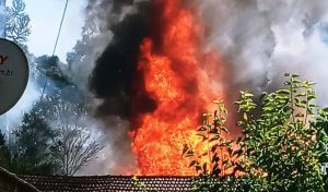 whatsapp-image-2021-02-10-at-08