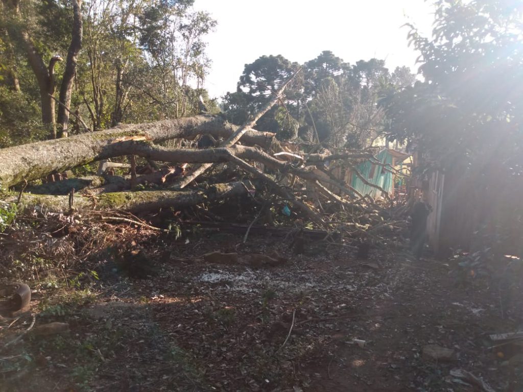 17faf856-53ba-44ef-b1f9-bc34ad94a314