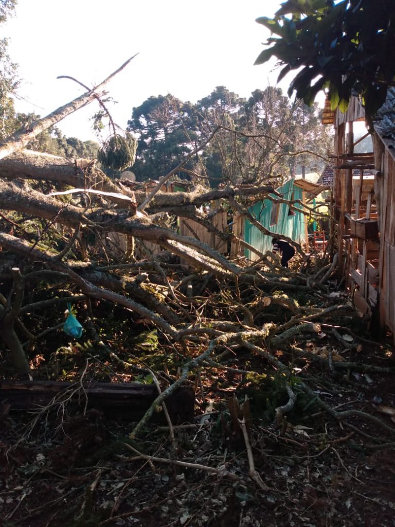 b2437a40-ba36-4189-906b-854ffb4dad6d