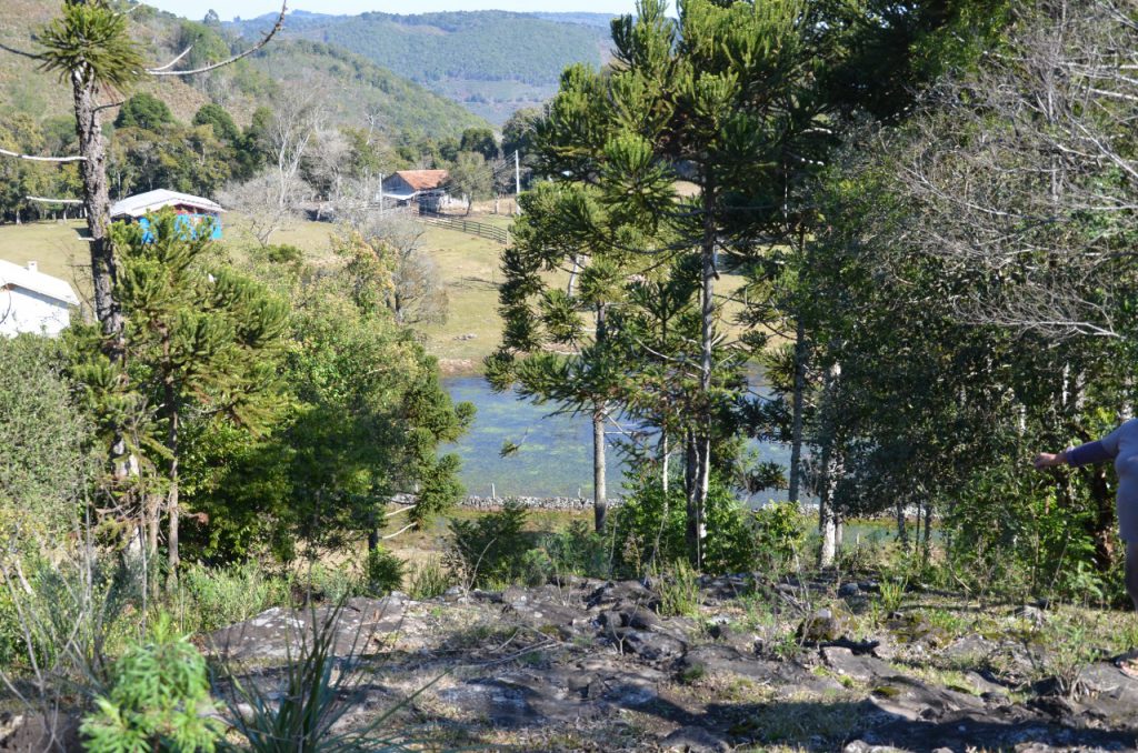 whatsapp-image-2021-08-05-at-11-11-09-1