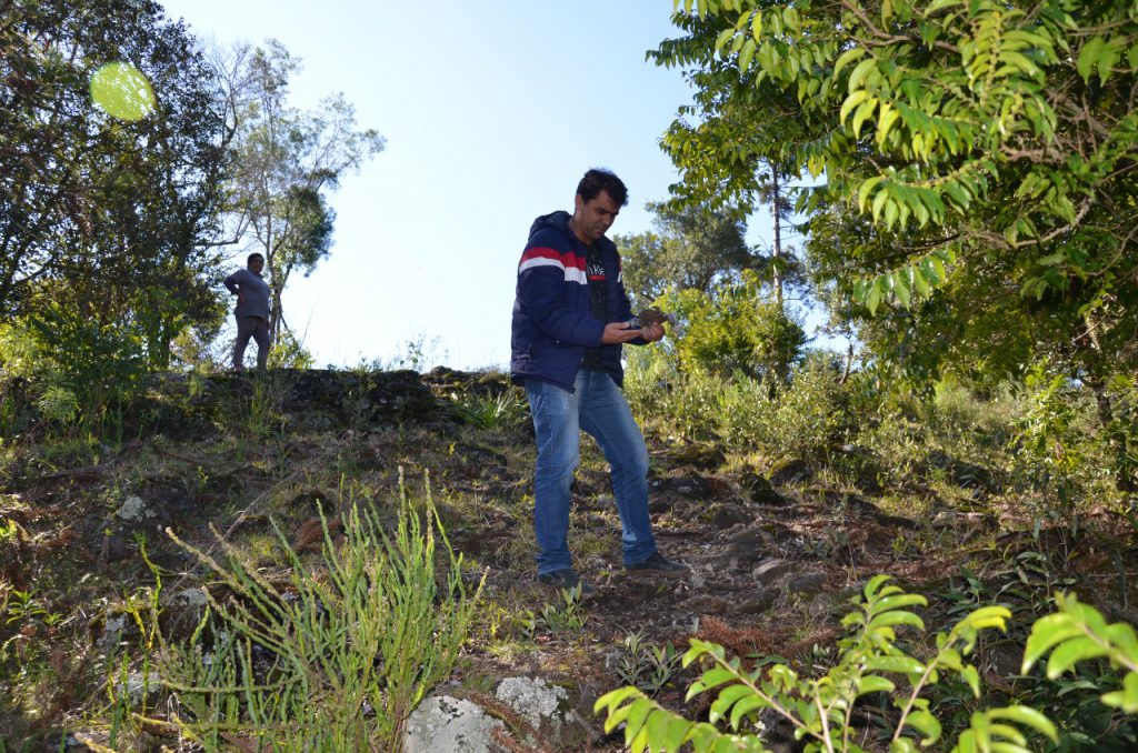 whatsapp-image-2021-08-05-at-11-11-11-1