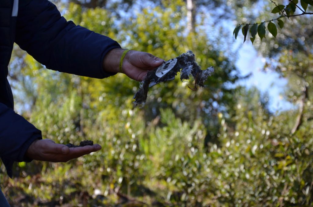 whatsapp-image-2021-08-05-at-11-11-11