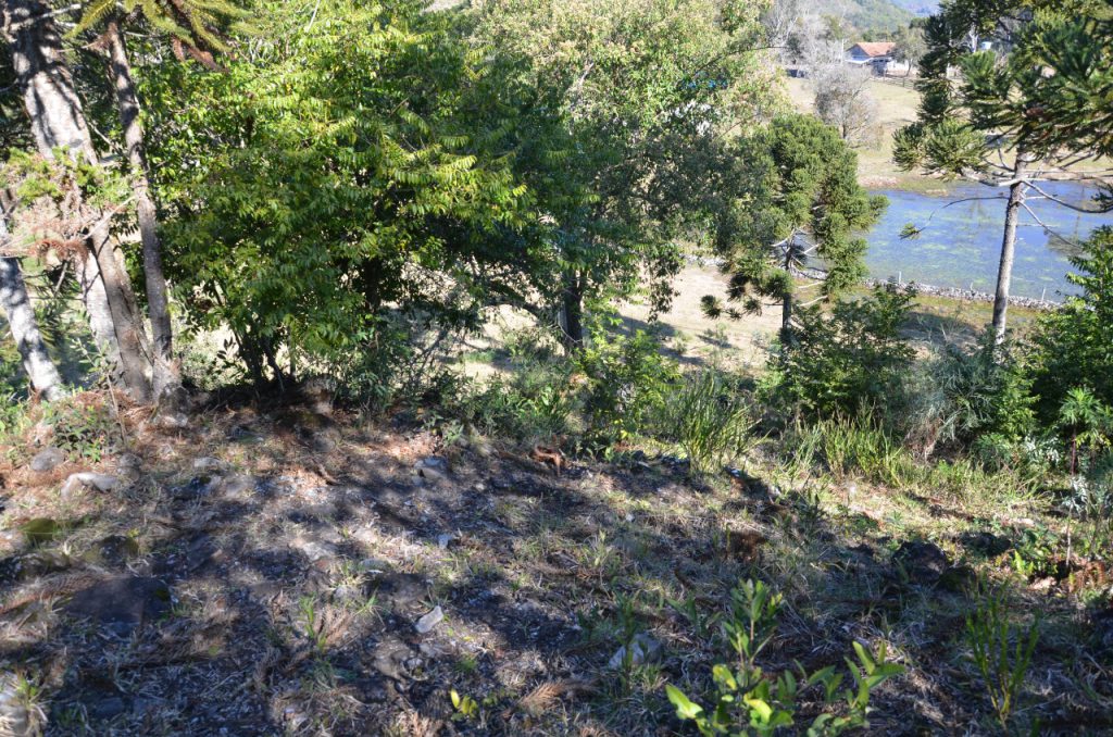 whatsapp-image-2021-08-05-at-11-11-12-1