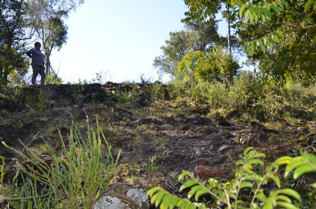 whatsapp-image-2021-08-05-at-11-11-12