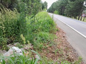 a3352bd0-43ab-43ef-a5c7-cba02cea08e3