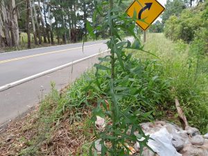 aced2c56-d102-418d-be01-d67d308de1a6