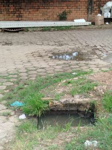 cae90654-a328-464a-996f-90703a15c1e5