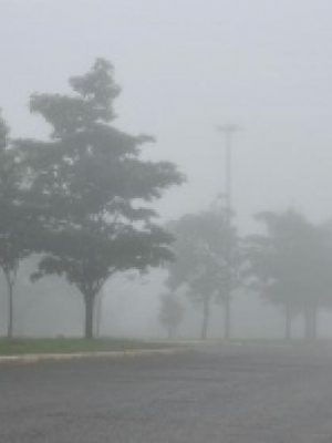 456c11f842d7bc3d4ab83c20744730a8