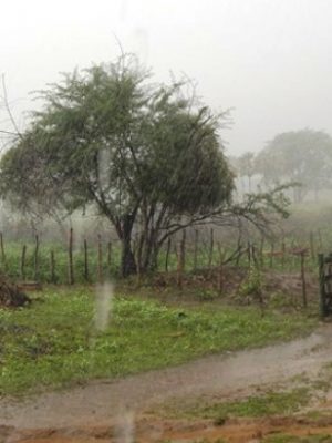 chuvas-na-zona-rural-de-ipueira-fizeram-acudes-transbordarem-foto-wllana-dantas