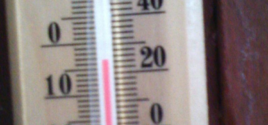 whatsapp-image-2017-07-19-at-07-04-23