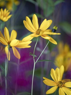 1506081483_947640_1506096528_noticia_normal_recorte1