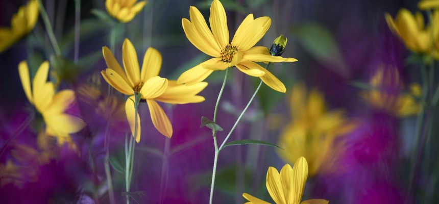 1506081483_947640_1506096528_noticia_normal_recorte1