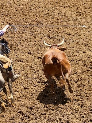 lacadas-na-nova-cancha-de-anita-garibaldi-1