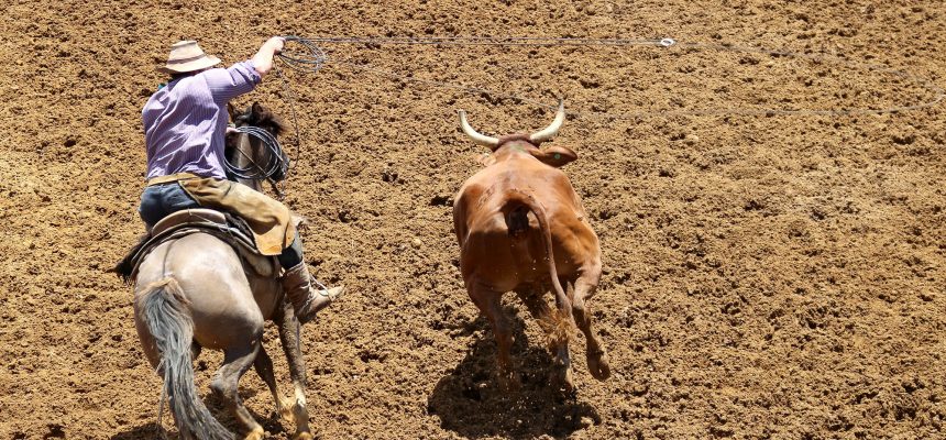 lacadas-na-nova-cancha-de-anita-garibaldi-1
