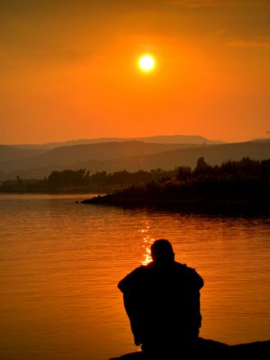 pexels-photo-54379-e1515430558830