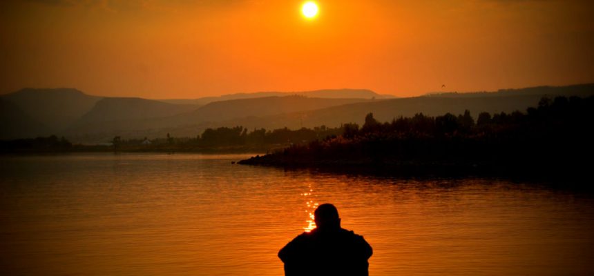 pexels-photo-54379-e1515430558830