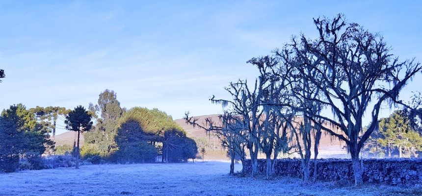 geada-em-sao-joaquim-20
