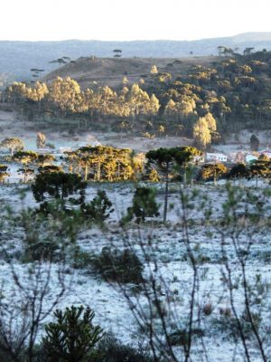 geada-urupema-marleno-farias-27-08-2018-5
