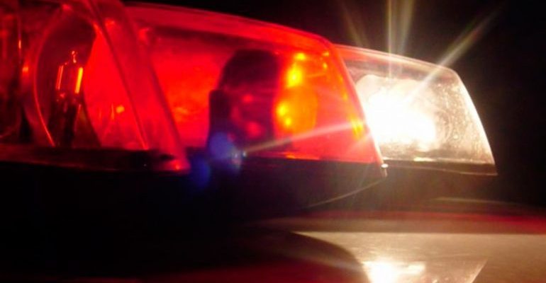 destaque-400386-giroflex-pm-660x330-770x434