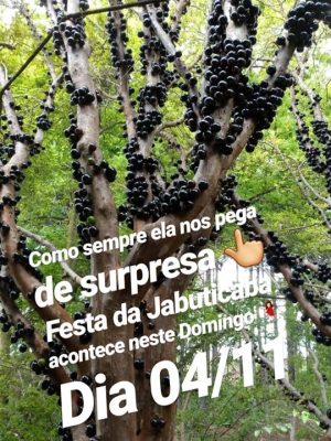 44993876_1886008591514788_8025550703617376256_n