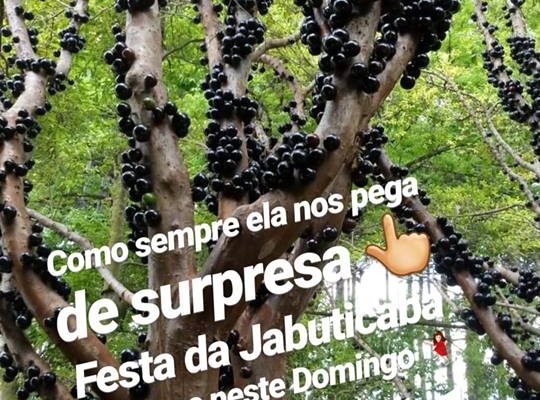 44993876_1886008591514788_8025550703617376256_n