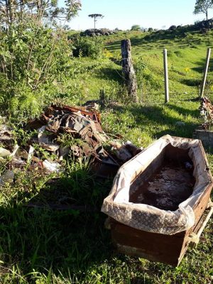 45412370_10211960672204519_4011564493153763328_n