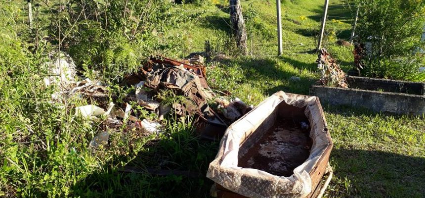 45412370_10211960672204519_4011564493153763328_n