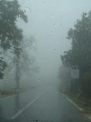 59c42980701ed4431221e32bee15aabf-noticias-noticias-cachoeira-do-sul-cachoeira-do-sul-noticias-portal-de-noticias-cachoeira-do-sul-portal-cachoeira-do-sul