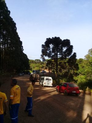 whatsapp-image-2018-11-12-at-08-26-36