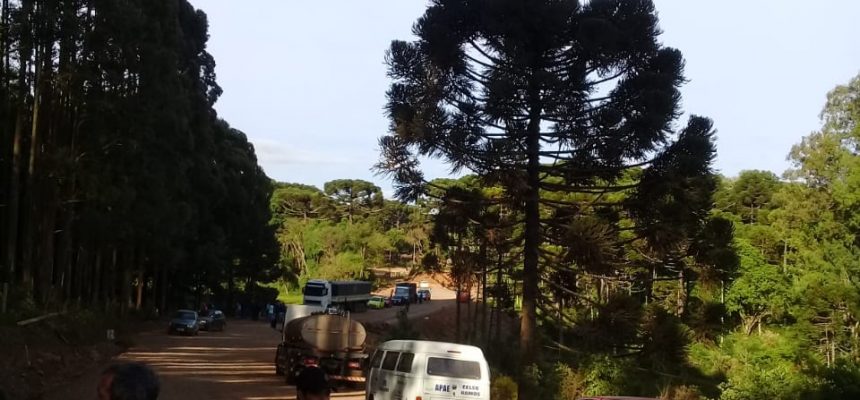 whatsapp-image-2018-11-12-at-08-26-36