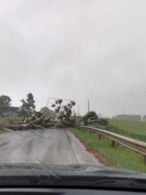 whatsapp-image-2018-12-21-at-14-26-56