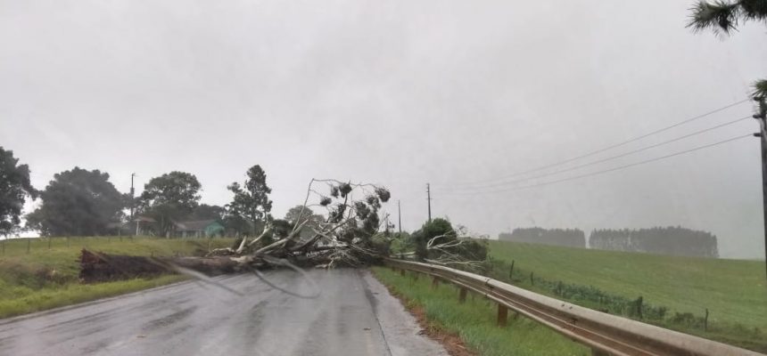 whatsapp-image-2018-12-21-at-14-26-56