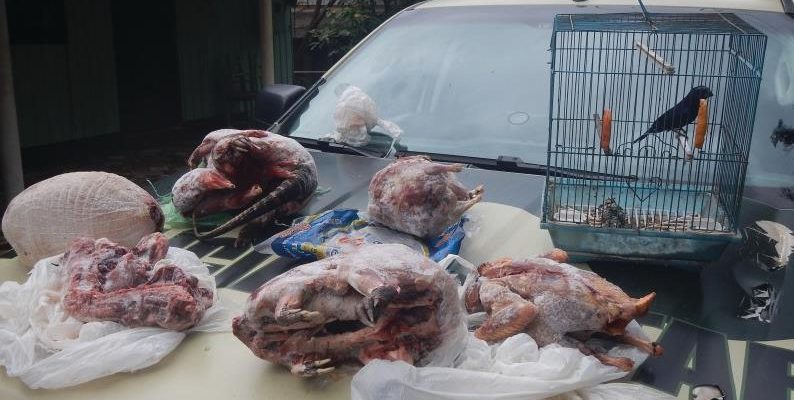 52445508_2113538615393210_3602363700230488064_n