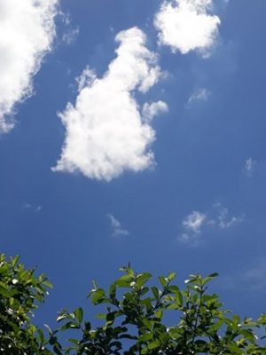 whatsapp-image-2019-01-28-at-14-33-07