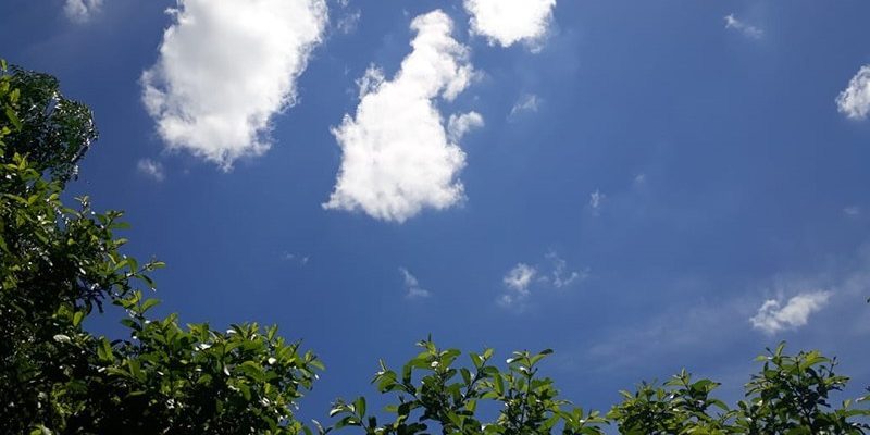 whatsapp-image-2019-01-28-at-14-33-07