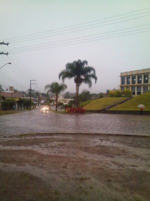 whatsapp-image-2019-03-12-at-07-55-08