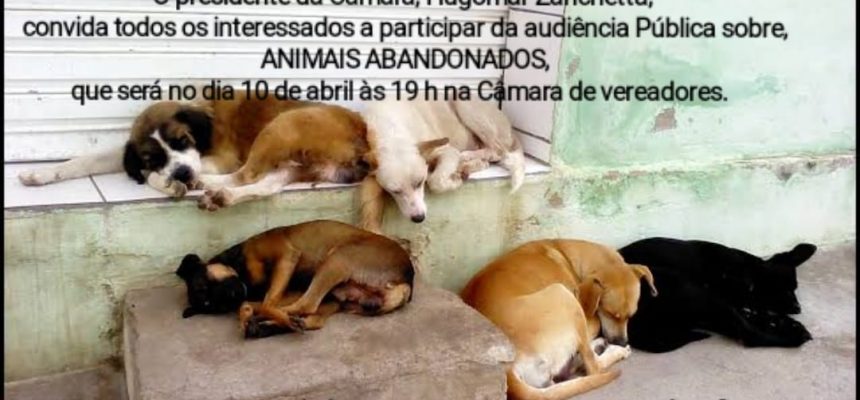 56158250_2074100099292842_2152970086468550656_o