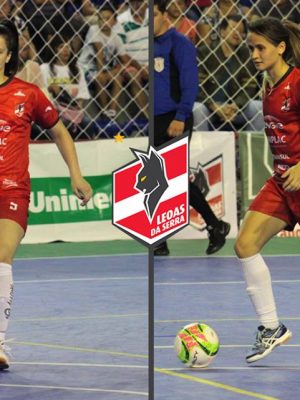 57486426_2170054969746469_4803410420763197440_n