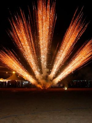 58383142_1829455293822398_990271539783925760_n