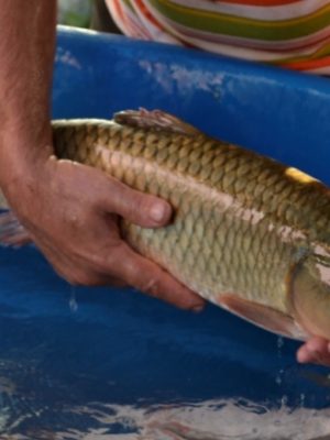 noticiafoto-9b02f4e2d21f61a4e0ee35d10ce2d6f4