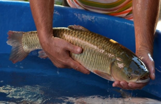 noticiafoto-9b02f4e2d21f61a4e0ee35d10ce2d6f4