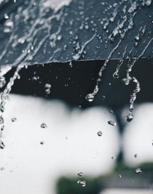 224ca3060252fc8ca09508a9772a1732-gvc-fm