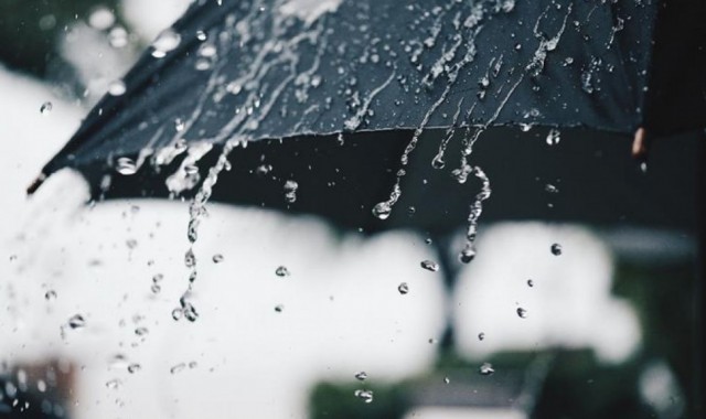 224ca3060252fc8ca09508a9772a1732-gvc-fm