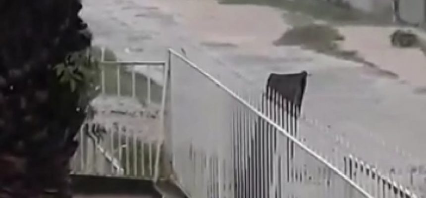 243cc933c3050f7c71d1524e3babedad