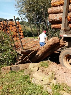 62460547_2296218280458575_3483069656439193600_n