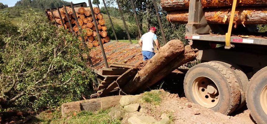 62460547_2296218280458575_3483069656439193600_n