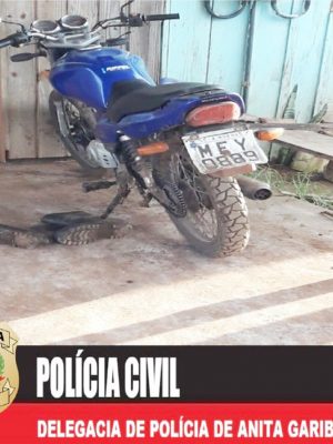 imagens_15605331018671