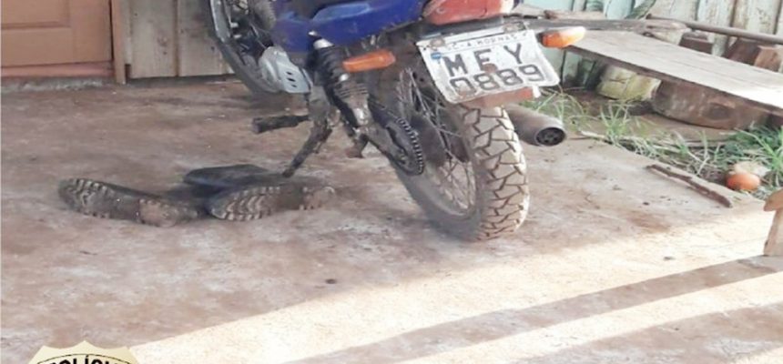 imagens_15605331018671