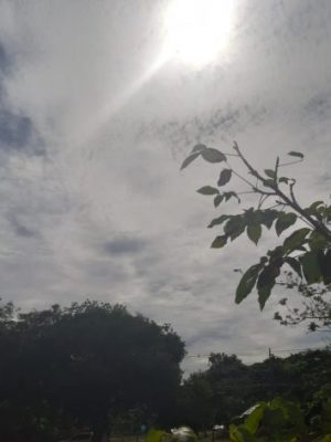 previsao-do-tempo-ms-15-de-maio-2019-f-humberto-marques-e1557852089261