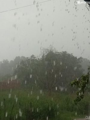 1e44b7f7011c5d5270b19e08191ab523